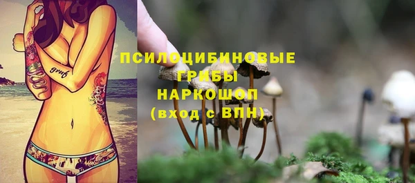 хмурый Иннополис