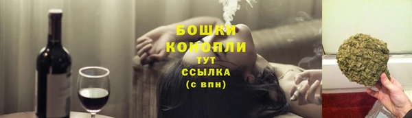 ECSTASY Инсар