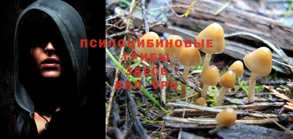хмурый Иннополис