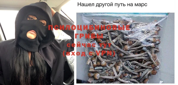 ECSTASY Инсар