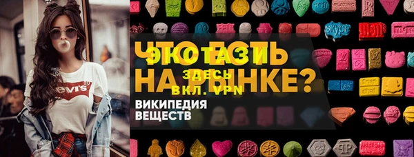 ECSTASY Инсар