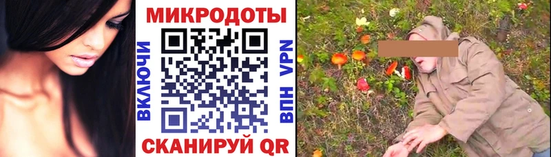 Купить где  Туран  Псилоцибиновые грибы Psilocybine cubensis 